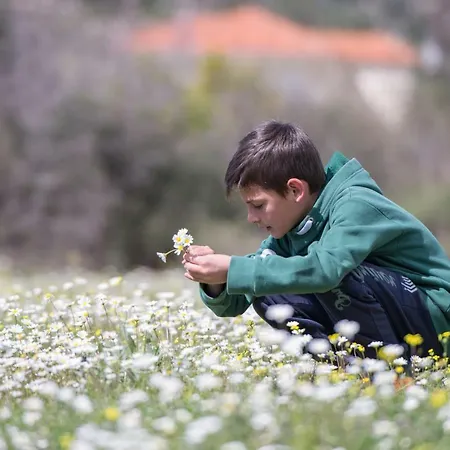 Vakantiehuis Amaryllis *