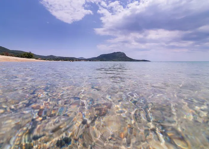 Amaryllis Casa vacanze *