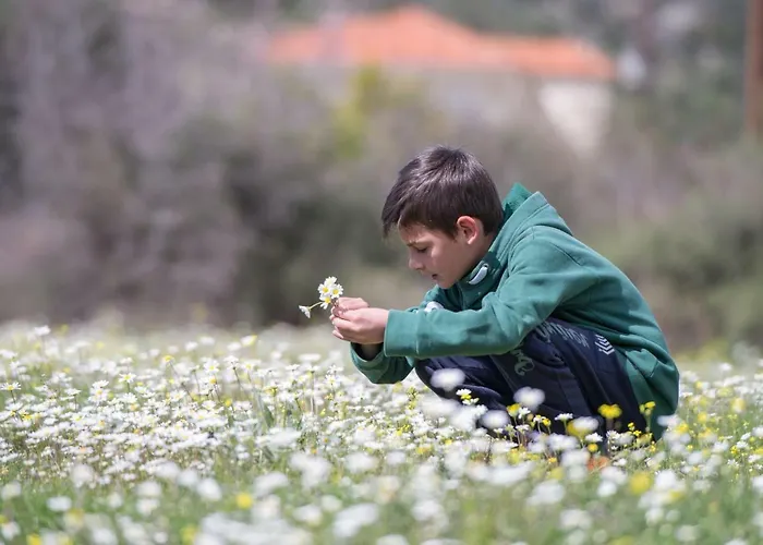 Casa vacanze Amaryllis *