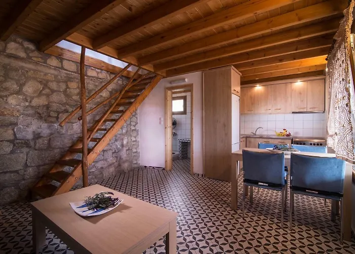 Amaryllis Nyaraló *