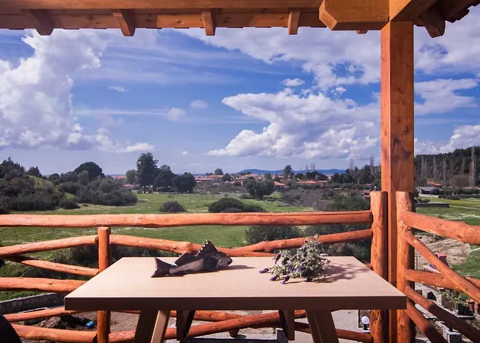 Amaryllis Торони