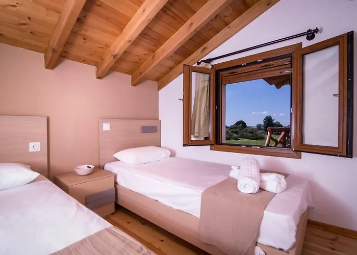 Amaryllis Торони