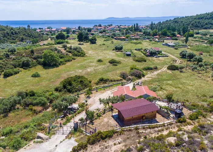 Amaryllis Nyaraló Toróni