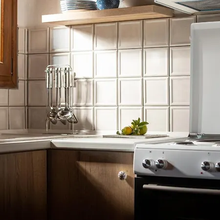 Amaryllis بيت للعطل *