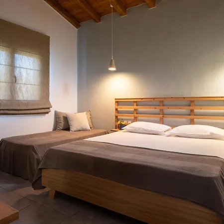 بيت للعطل Amaryllis *