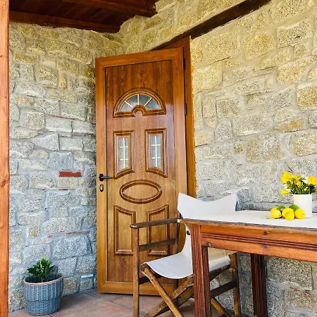 Amaryllis توروني