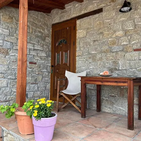 Amaryllis بيت للعطل *