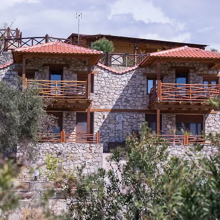 Amaryllis * توروني