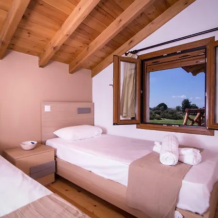 Amaryllis توروني